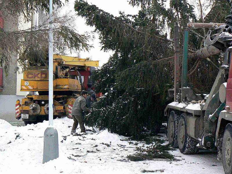 Vánoční strom pro krnovské náměstí pochází z Chářovské ulice. Jedná se o smrk napadený houbami, který bylo nutné brzy pokácet. Místní občané navíc proti kácení vánočního smrku protestovali, protože nevěděli, že by stejně musel jít k zemi.