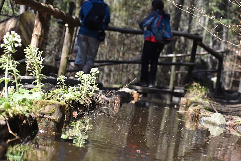 Udělejte si někdy výlet kolem náhonu, který přivádí vodu pro umělý vodopád v Karlově Studánce.