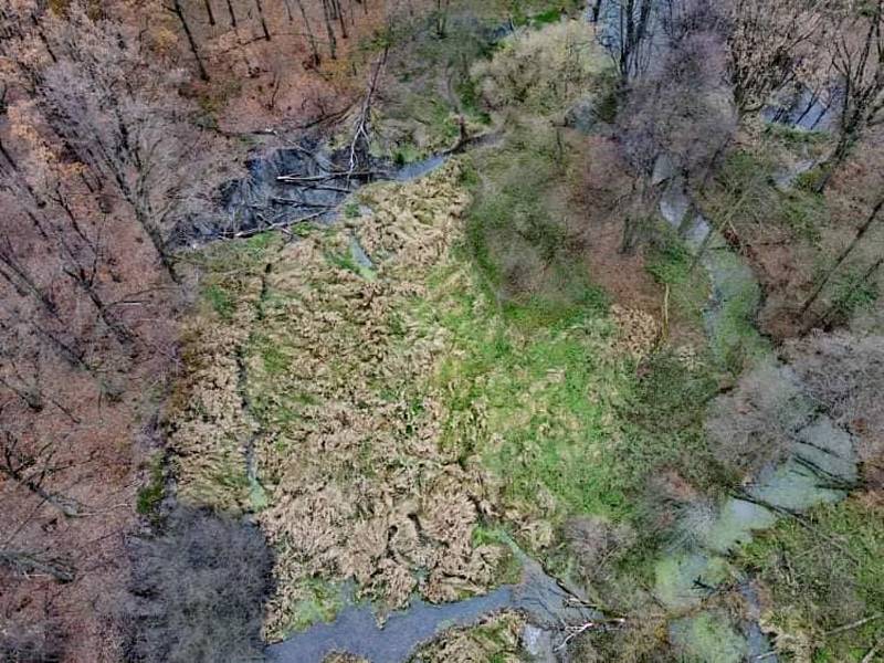 Bobří území kolem Lužné zdokumentoval z výšky pilot dronu Zdenek Caisberger.