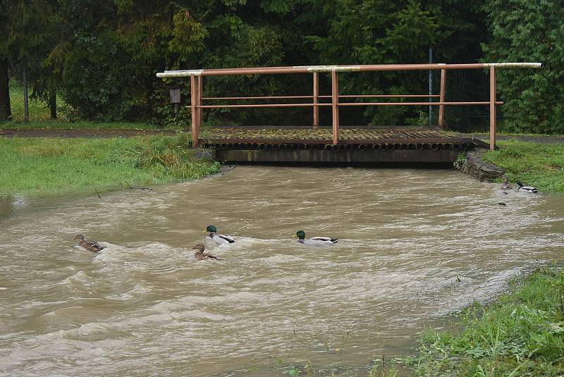 Situace na Osoblažsku je specifická tím, že se rozvodnila nejen řeka Osoblaha, ale i drobné potůčky a příkopy. Voda se valí po polních a  lesních cestách a vytváří laguny.