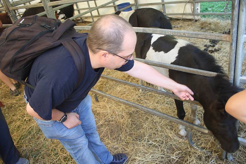 Cirkus Šimek v Krnově i v Bruntálu pozval publikum také do svého zvěřince. Každý se mohl přesvědčit, jak je o cirkusová zvířata postaráno mimo manéž, jaké mají klece, ustájení a výběhy.