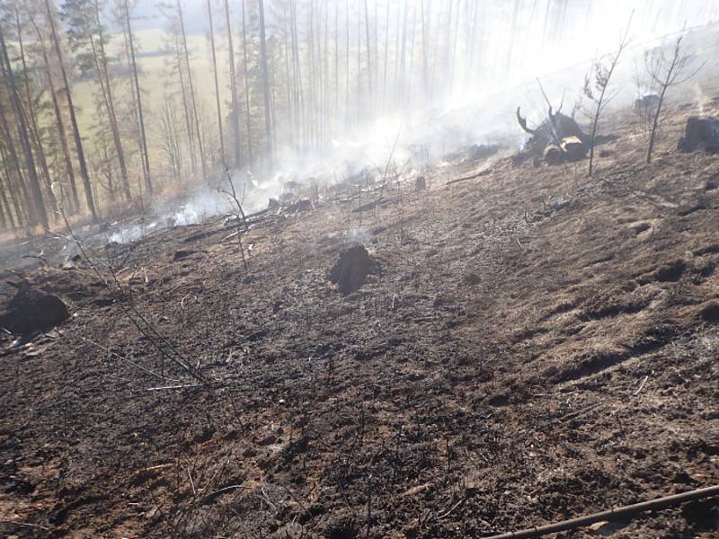 Poblíž Zátora Louček v lokalitě Radimský kopec probíhá kůrovcová těžba. V neděli zde oheň zasáhl území o rozloze šest hektarů. Foto: HZS BR