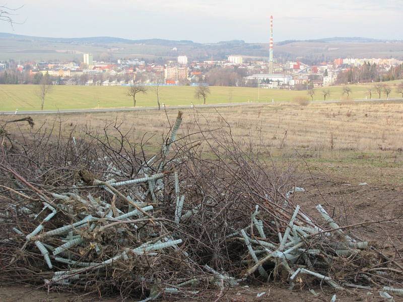 Ovocné sady díky dotacím v roce 2011 několikanásobně zvětšily původní rozlohu. Dotace právě skončily a sady rychle zase mizí. Zemědělci při zakládání i při mýcení sadů postupovali přesně  podle  pravidel dotačního programu a dodrželi všechny podmínky.