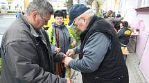 Školáci ve Městě Albrechticích se rozhodli spojit pomlázky do dlouhého hada. Podařilo se jim společnými silami uplést pomlázku dlouhou 137 metrů.