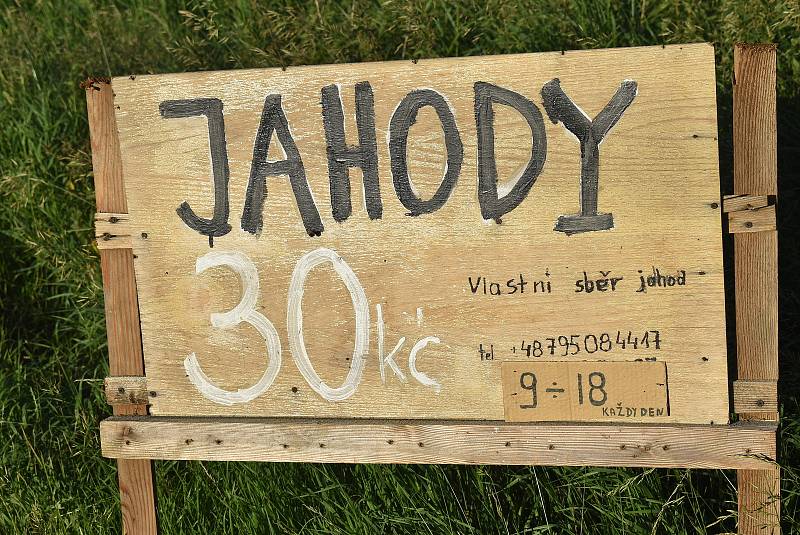 Cena jahod dne 20.6. 2002. Samosběr v Polsku: 30 Kč/kg, Kaufland: 89,90 Kč/kg, Billa: 179 Kč/kg, pouliční prodej: 59 - 70 Kč/kg, obchod U Hanky 65 Kč/kg. Někde se cena uvádí včetně košíku nebo vaničky, jinde se platí zvlášť.