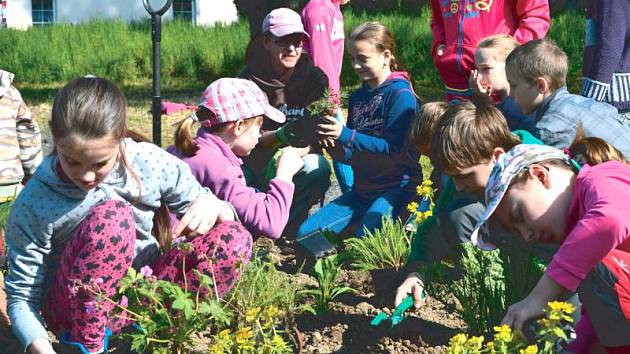 Děti pomáhaly s výsadbou trvalek v novém sadu ve Městě Albrechticích.