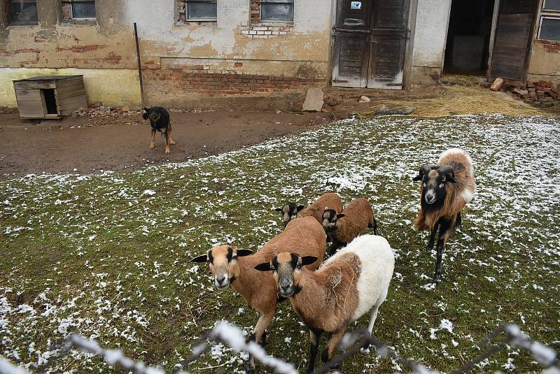 Hlinka na Osoblažsku, končící zima, březen 2021. Obci se podařilo definitivně uzavřít restituce, díky tomu se zde otevírají nové příležitosti.