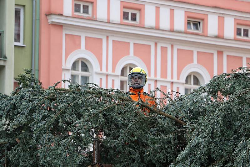 Vánoční strom města Krnova pro rok 2022 je patnáctimetrová jedle, která vyrostla v lese mezi Úvalnem a Lichnovem. Slavnostní rozsvícení proběhne v neděli 27. listopadu 2022 v 16 hodin.