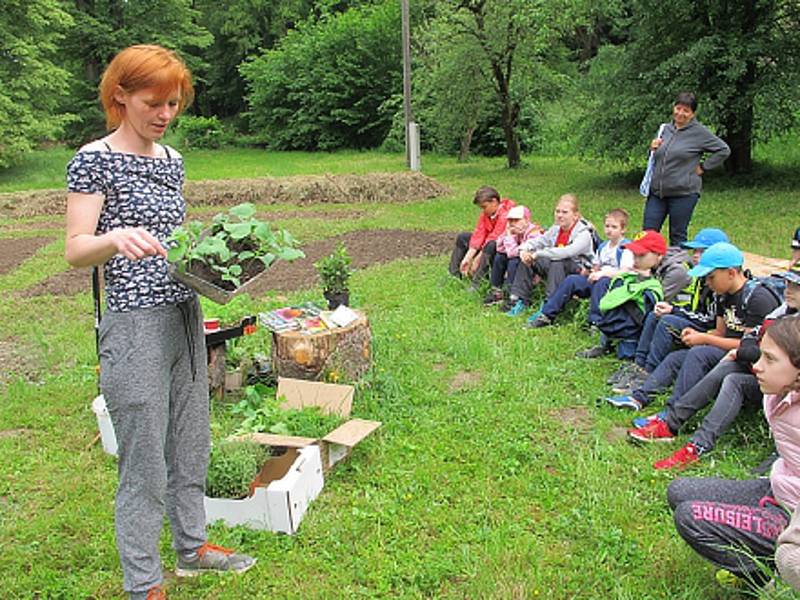 Alena Křištofová by ráda vrátila zahradničení do zámeckého parku ve Městě Albrechticích. Vysvětluje dětem, jak na to, když si chtějí vypěstovat vlastní bylinky nebo zeleninu.