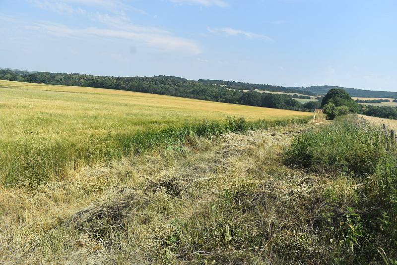 Třináct studentů architektury vytvořilo v zaniklé vsi Pelhřimovy 13 zastavení křížové cesty. Oživili úvozovou cestu ztracenou v džungli. 30.6. 2022.