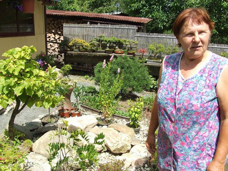 Marie Červenková je vášnivou pěstitelkou bonsají. Má jich plnou zahradu, nejstarší bonsaj vlastní už dlouhých bezmála čtyřicet let. 