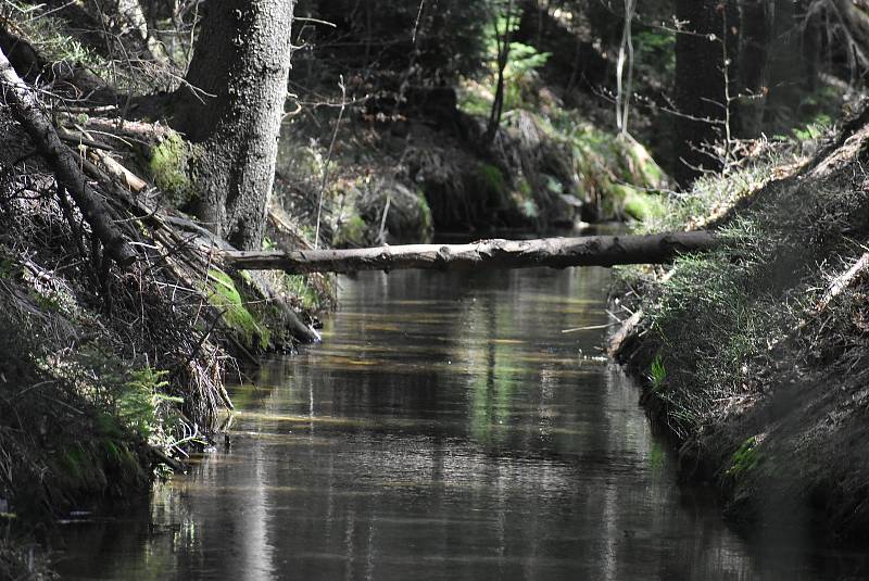 Udělejte si někdy výlet kolem náhonu, který přivádí vodu pro umělý vodopád v Karlově Studánce.