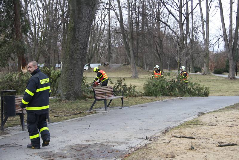 Vítr shazoval elektrické vedení a vyvracel stromy také v Bruntálu. Nejhůř byly zasažený Městský park. Největší lípa se vyvrátila přes plot na hospodu Roští.