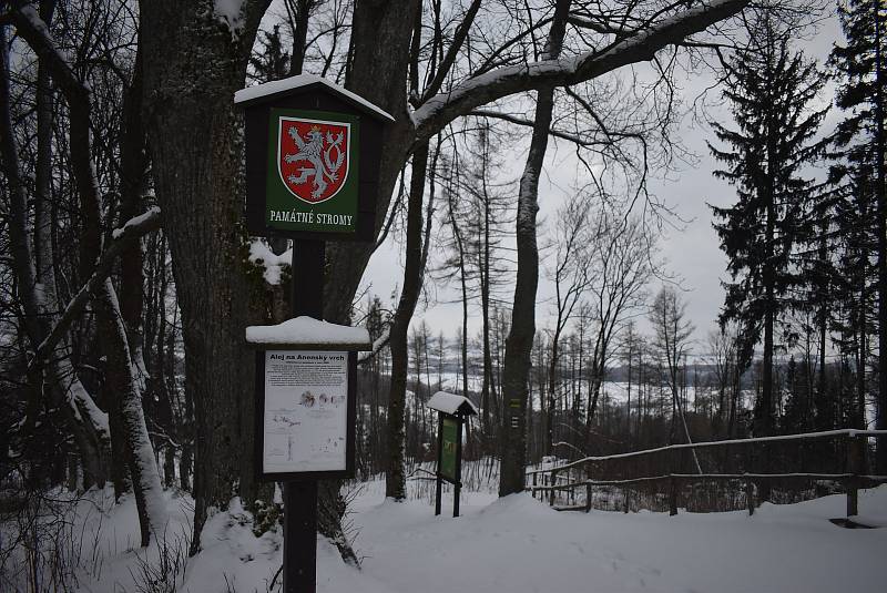 Chystáte se do Jeseníků, ale obáváte se přeplněných parkovišť? Zkuste si udělat zimní výlet do Andělské Hory na poutní místo Annaberg a na stejnojmennou sjezdovku.