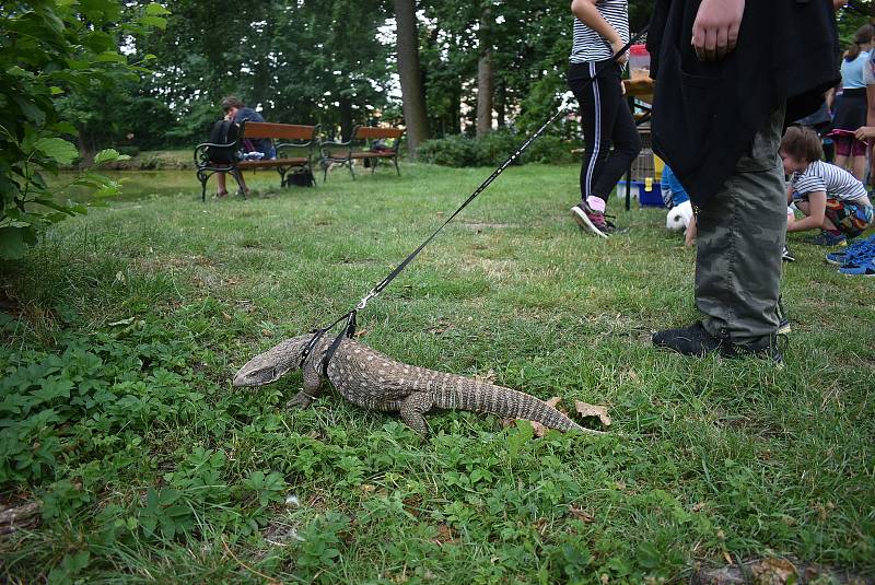 Zámecký park ve Slezských Rudolticích, společná akce chovatelů a teraristů, 31. července 2021.