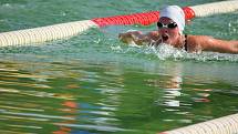 Týdenní soustředění absolvovali bruntálští plavci ve slovenském Štúrovu, jehož vrcholem byly mezinárodní závody – Štúrovská stovka.