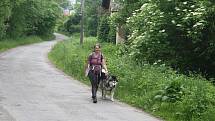 Dogtrekking je vytrvalostní sport, při kterém jsou člověk a pes spojeni nejen vodítkem, ale hlavně společnými zážitky.