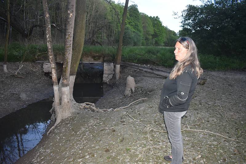 Po protržení bobří hráze u Slezských Rudoltic bahno ukazuje, jak byla nádrž před vypuštěním hluboká a rozsáhlá. 20. 5. 2022.