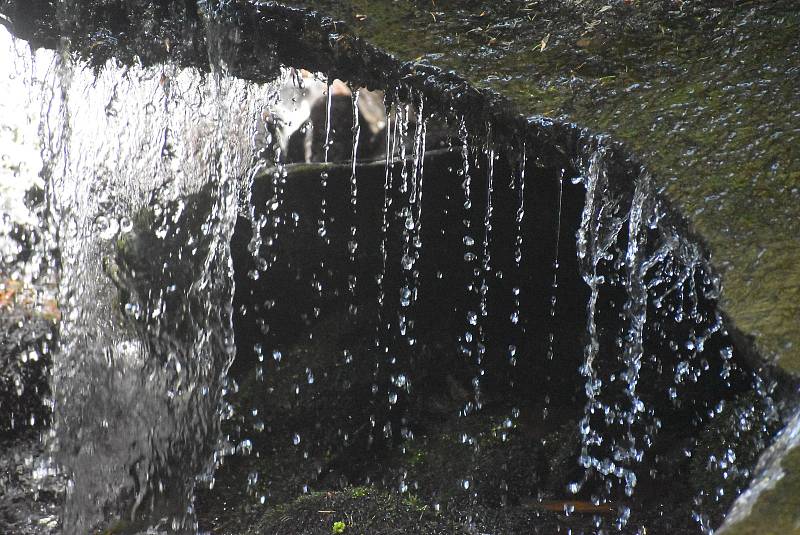 Atrakce Jeseníků: výlet divokou přírodou v údolí Bílé Opavy kolem vodopádů, kaskád a vyvrácených stromů. 21.5.2022.