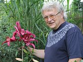 Z poslední velké úrody květin se raduje pěstitel Petr Masopust z Bruntálu. Pozemek v Mezině nyní zdobí pestrobarevné lilie.