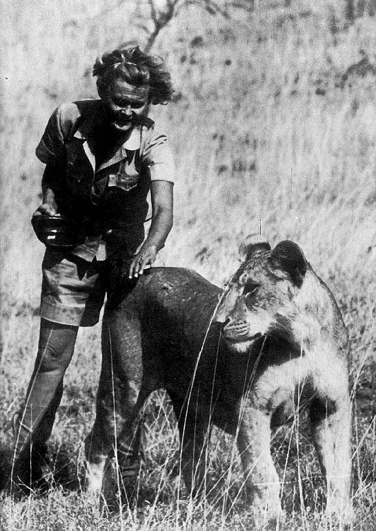 Joy Adamsonová, světoznámá spisovatelka a ochránkyně africké přírody, se narodila v roce 1910 v Opavě.