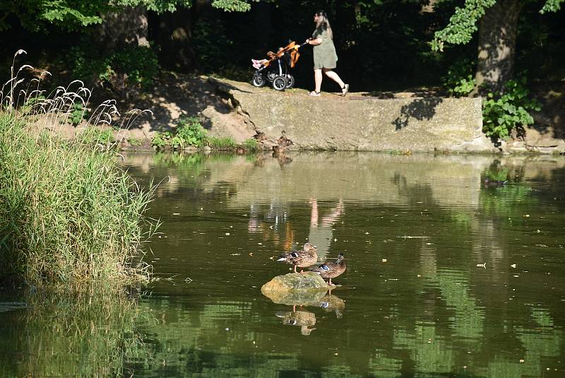 Slezské Rudoltice 14. 8. 2021. Po dožínkové modlitbě v zámecké kapli následovala zábava v zámeckém parku.