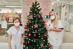 Pracovníci Podhorské nemocnice Agel se postarají o vánoční atmosféru v Bruntálu i v Rýmařově.