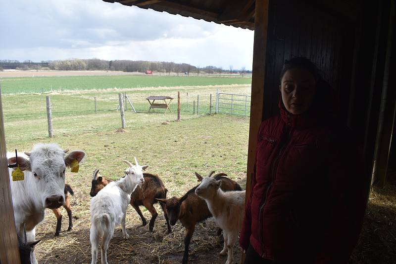 Kozí farma Úvalno je známá pod názvem Šťastné kozy. Chová je totiž rodina Kristýny Šťastné. Každý se může přesvědčit, že zvířata na farmě jsou opravdu šťastná.