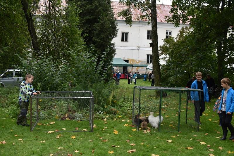 Koláčobraní v Zámeckém parku doplnilo divadlo a výstava zvířat. Město Albrechtice-Hynčice. Září 2021.