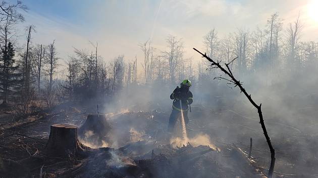 Zásah hasičů u požáru lesa v Dětřichově nad Bystřicí.