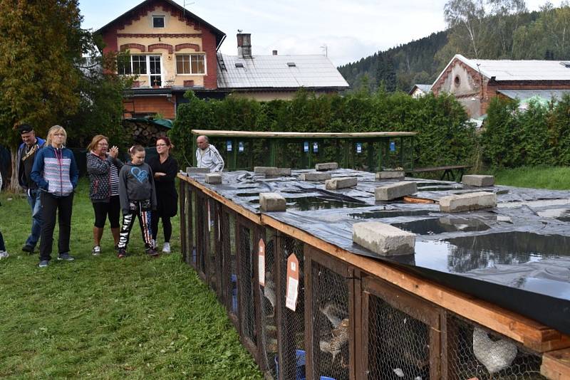 Vydařená chovatelská výstava ve Vrbně pod Pradědem.