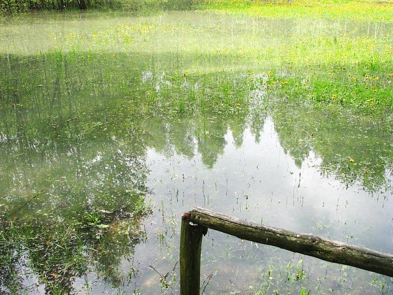 Staré Hliniště je po deštích podmáčené tak, že zde od úterka až do odvolání platí zákaz vstupu. Opatrnost je na místě, protože po povodních v roce 2007 se zde několik stromů vyvrátilo přímo na naučnou stezku.