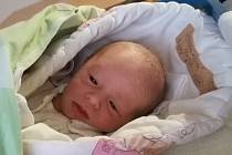 Jmenuji se Emma Štěpánková, narodila jsem se 4. dubna 2018, při narození jsem vážila 2290 gramů a měřila 44 centimetrů. Moje maminka se jmenuje Lucie Lhoťanová a můj tatínek se jmenuje Petr Štěpánek, doma mám brášku Daniela. Bydlíme v Krnově.