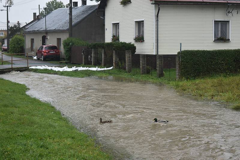 Situace na Osoblažsku je specifická tím, že se rozvodnila nejen řeka Osoblaha, ale i drobné potůčky a příkopy. Voda se valí po polních a  lesních cestách a vytváří laguny.