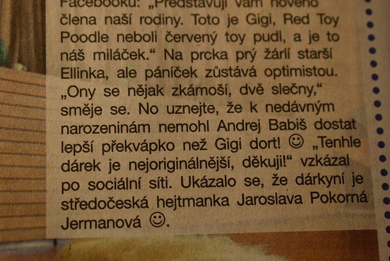 Jakub Unucka (ODS) před volbami běhal, Marian Jurečka (KDU-ČSL) zkoumal nádraží a Andrej Babiš (ANO) představil dort, který jeho pejskovi Gigi darovala středočeská hejtmanka.