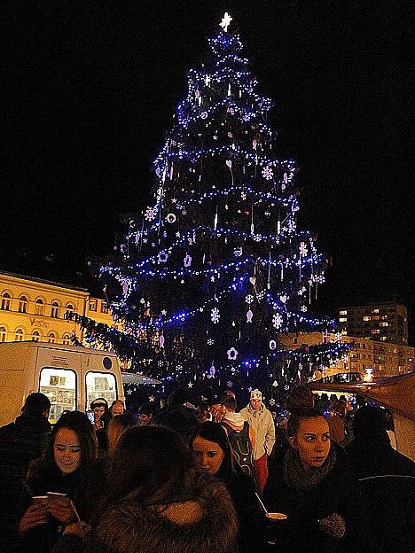 Rozsvícení vánočního stromu v Děčíně. 