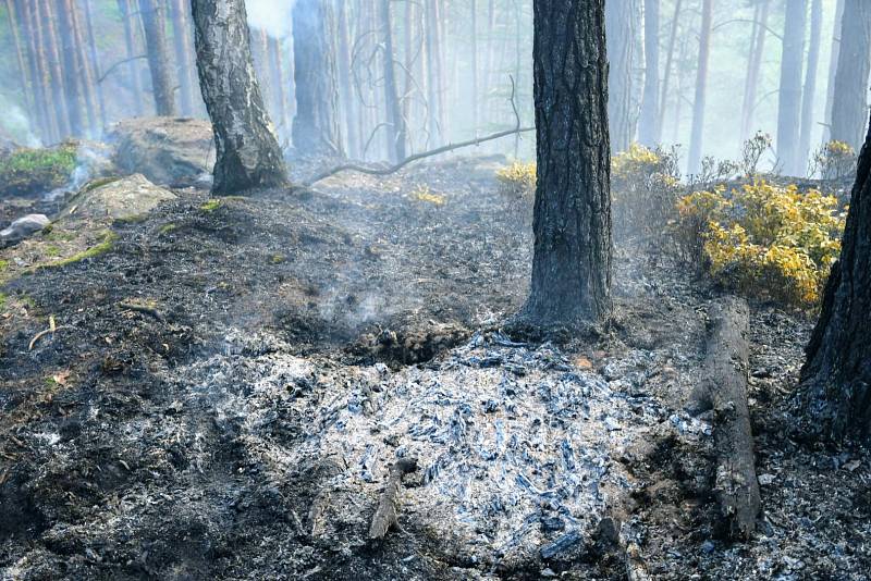Nad Děčínem hoří les.