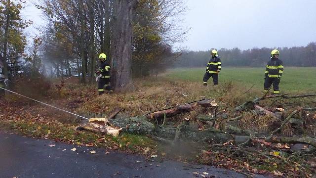 Vítr značně poškodil mohutný strom na Sněžníku. Na místo vyjeli místní hasiči a strážníci.