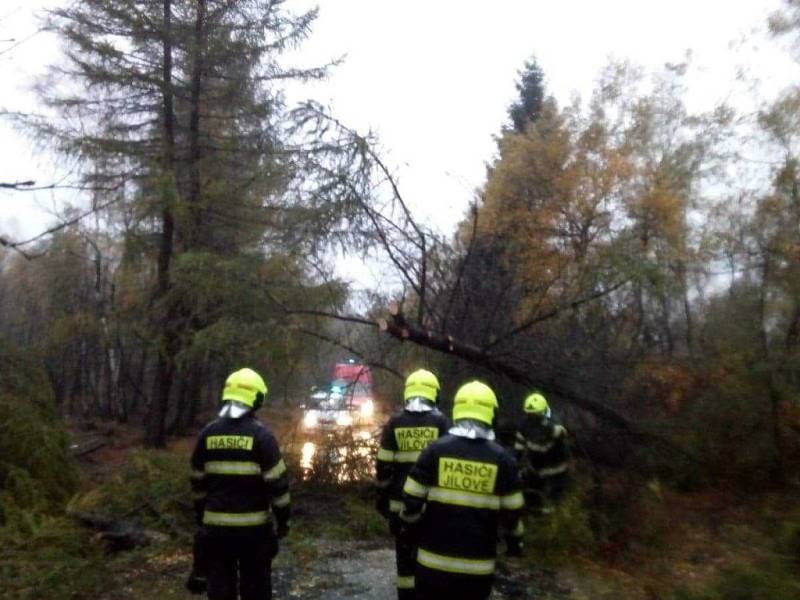 Několik popadaných stromů odstranili hasiči na Sněžníku.