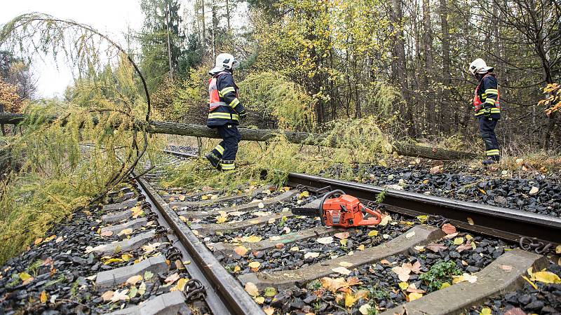 Následky nedělní vichřice na Šluknovsku.