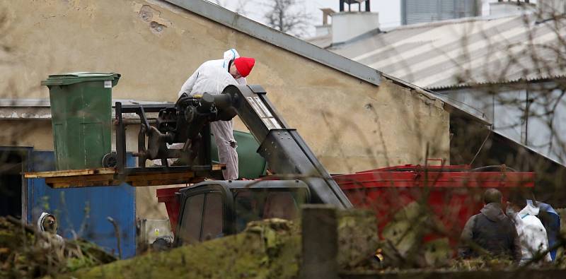 Likvidace chovu slepic kvůli salmonele v Janské nedaleko České Kamenice