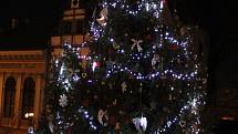 Rozsvěcení vánočního stromu v Benešově nad Ploučnicí.