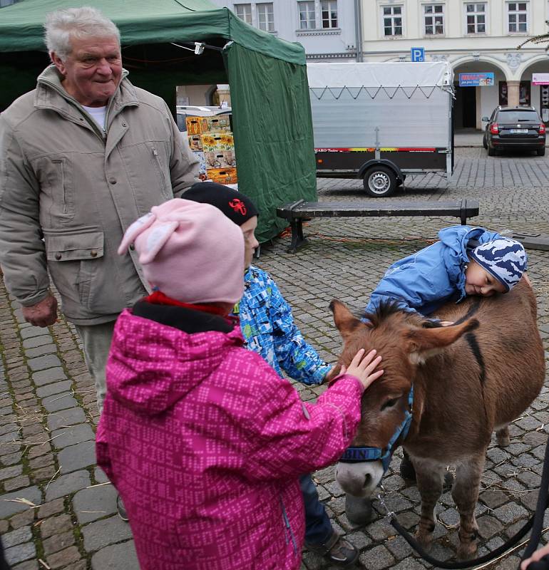 Rozsvěcení vánočního stromu v Rumburku.