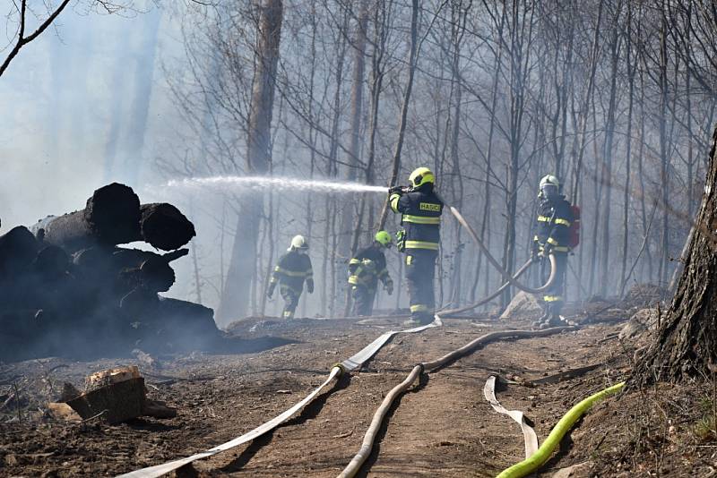 Deset jednotek hasičů bojuje u Děčína s lesním požárem.