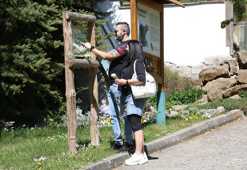 Děčínská zoologická zahrada se otevřela pro návštěvníky. Mohou se, ale pohybovat pouze ve venkovních prostorech.