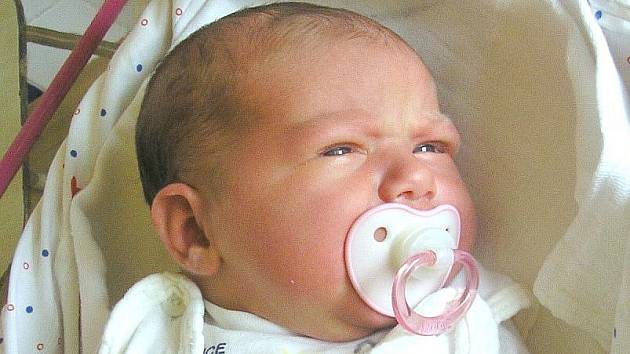 Evě Audyové z Č. Kamenice se 20. července v 18:06 v děčínské porodnici narodila dcera Karolína. Měřila 54 cm a vážila 4,4 kg