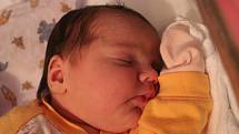 Emílie Svobodová se narodila Ivě Spurné z Děčína 16. ledna v 11.23 v děčínské porodnici. Vážila 3,8 kg.