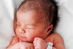 Pavlíně Richterové Perry z Krásné Lípy se 5. ledna v 8.38 v nemocnici Overlook v New Jersey narodila dcera Nicole Patricia Richterova Perry. Měřila 52 cm a vážila 3,7 kg.