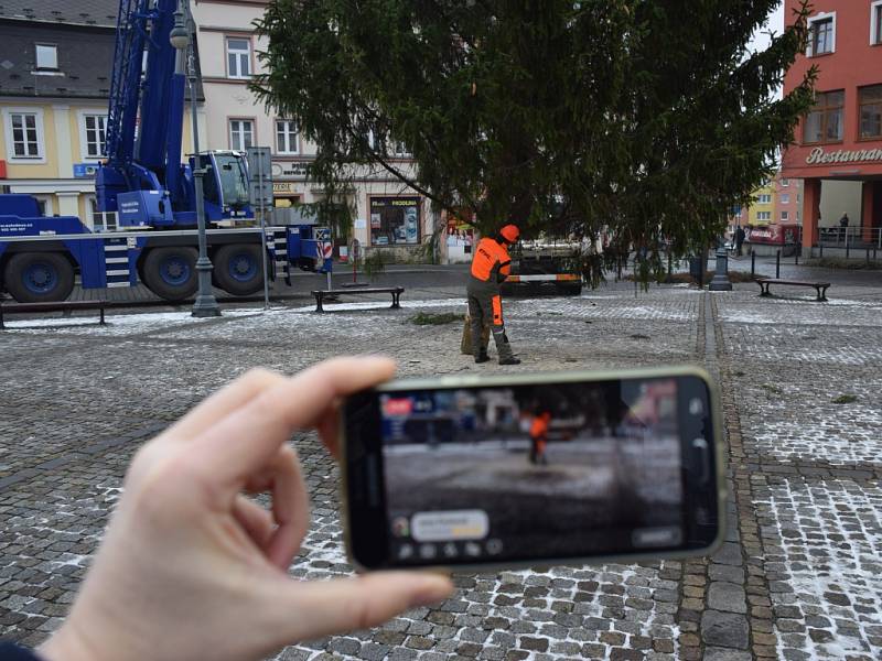 Vánoční strom zdobí od čtvrtka Lužické náměstí v Rumburku.