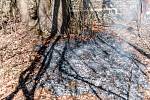 V Krásné Lípě hořely dva hektary louky.